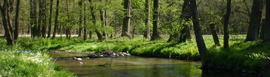 sluzby_vodni-hospodarstvi